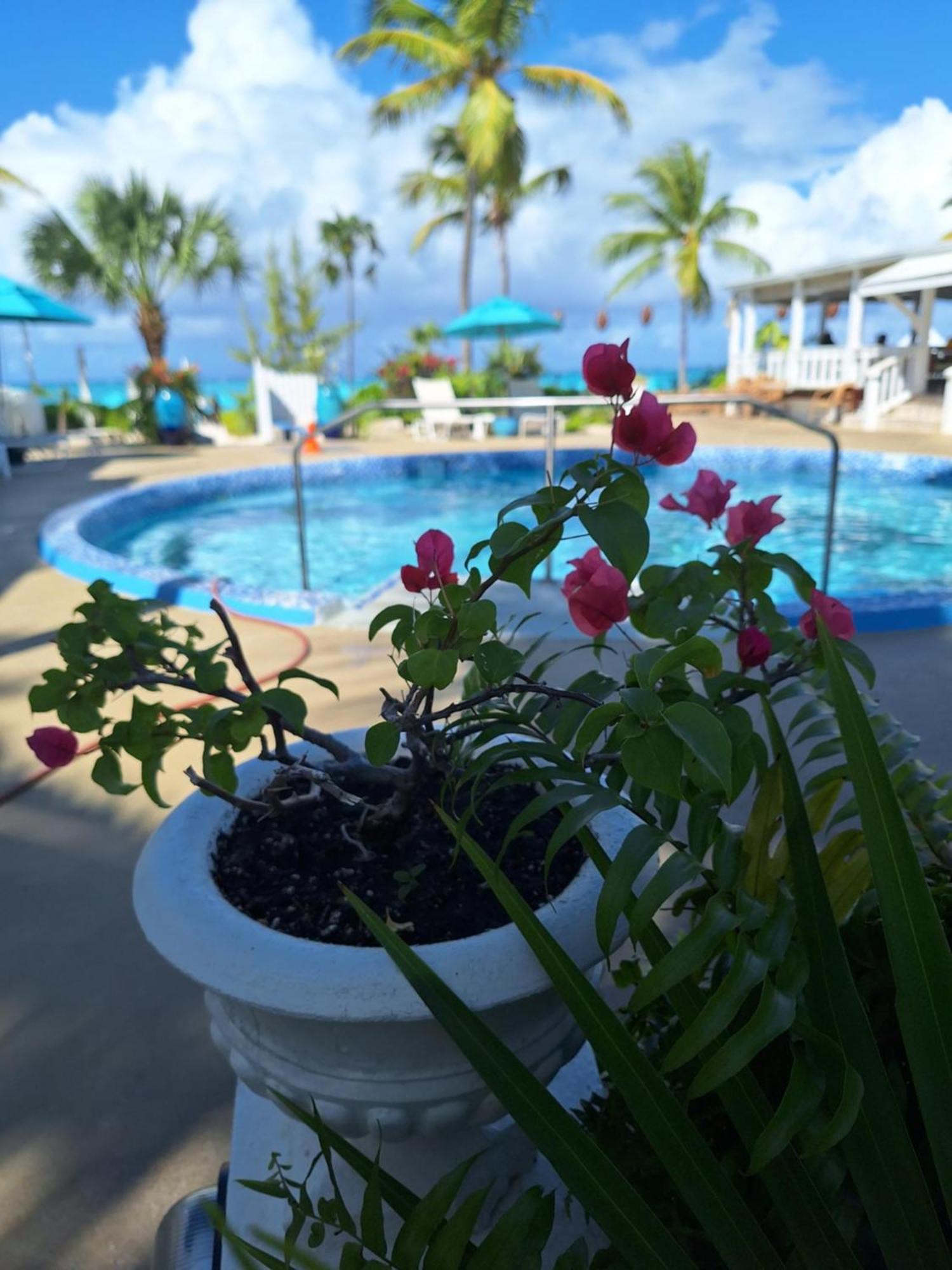Sibonne Beach Hotel Grace Bay Exteriör bild
